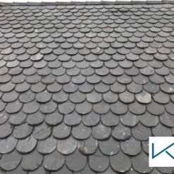 Tôn giả ngói vảy cá