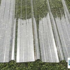 Tôn lấy sáng trong suốt có khả năng cách âm, cách nhiệt hiệu quả