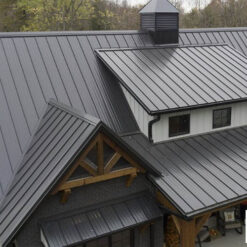 Mái tôn màu đen phù hợp với phong cách kiến trúc tối giản